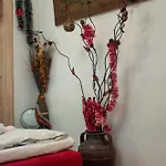 Pink Houdini